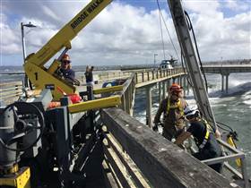 bridge walkers